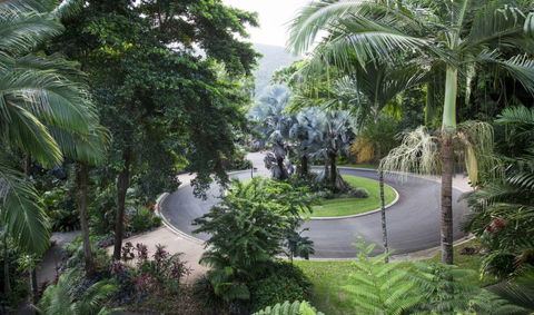 Oasis At Palm Cove - Hervey Bay Accommodation 7