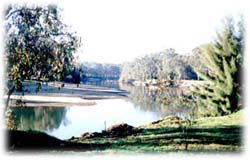 Corowa Golf Club Motel - Hervey Bay Accommodation 0