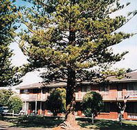 Eastern Beach Holiday Units - Hervey Bay Accommodation