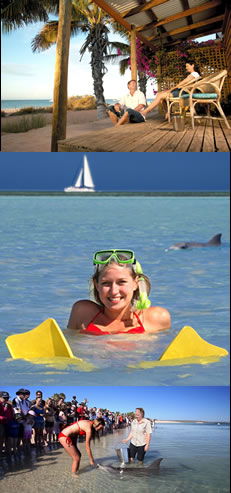 Monkey Mia Dolphin Resort - Hervey Bay Accommodation 0