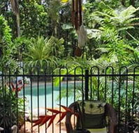 Daintree Rainforest Retreat Motel - Hervey Bay Accommodation