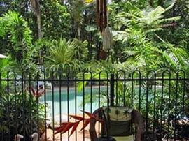 Daintree Rainforest Retreat Motel - Hervey Bay Accommodation 0