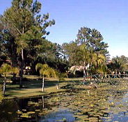 Twin Lakes Hotel - Hervey Bay Accommodation