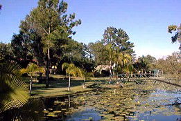 Twin Lakes Hotel - Hervey Bay Accommodation 0