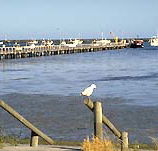 Seaview Motel and Holiday Units - Hervey Bay Accommodation