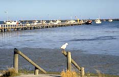 Seaview Motel And Holiday Units - Hervey Bay Accommodation 0