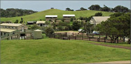 Cape Schanck VIC Hervey Bay Accommodation