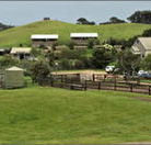 Ace Hi Riding Ranch - Hervey Bay Accommodation