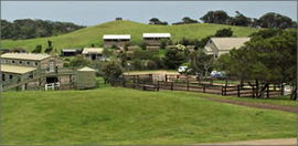 Ace Hi Riding Ranch - Hervey Bay Accommodation 0