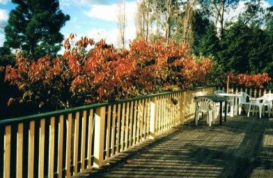 Heronswood House - Hervey Bay Accommodation 5