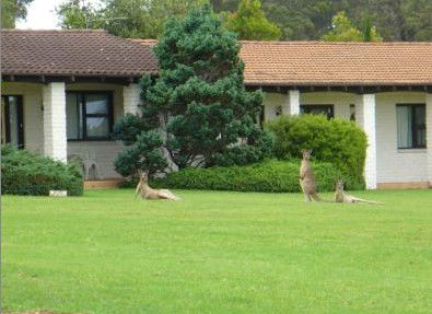 The Oaks Ranch & Country Club - Hervey Bay Accommodation 1