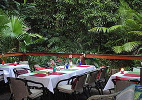 Daintree Rainforest Retreat Motel - Hervey Bay Accommodation 1