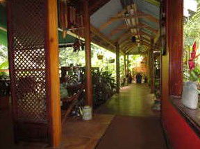 Daintree Rainforest Retreat Motel - Hervey Bay Accommodation 2