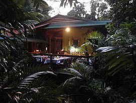 Daintree Rainforest Retreat Motel - Hervey Bay Accommodation 4