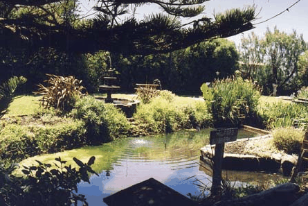 Bayside Gardens - Hervey Bay Accommodation 0