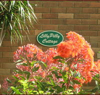 Lillypilly - Hervey Bay Accommodation