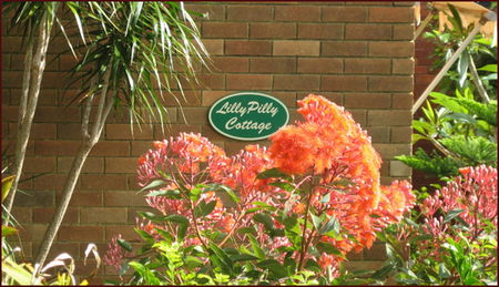 Lillypilly - Hervey Bay Accommodation 0