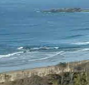 Beach Haven Apartments - Hervey Bay Accommodation