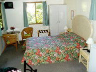 Kuranda Rainforest Accommodation Park - Hervey Bay Accommodation 2