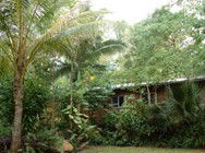 Kuranda Rainforest Accommodation Park - Hervey Bay Accommodation 3
