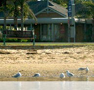 Best Western Coastal Waters Motor Inn - Hervey Bay Accommodation