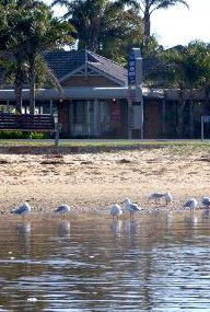 Best Western Coastal Waters Motor Inn - Hervey Bay Accommodation 2