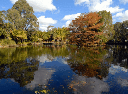 BIG4 Maroochy Palms Holiday Village - Hervey Bay Accommodation 2