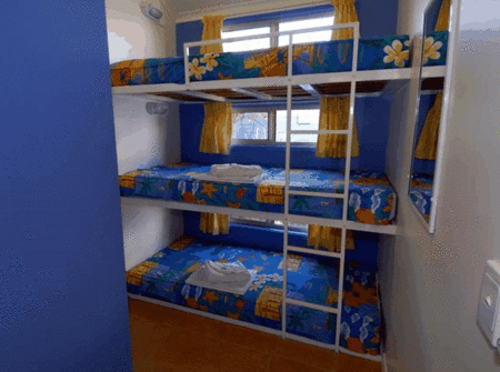 BIG4 Maroochy Palms Holiday Village - Hervey Bay Accommodation 3