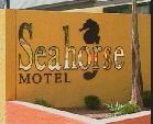 Seahorse Motel - Hervey Bay Accommodation 1
