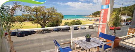 Lorne Beachfront Accommodation - Hervey Bay Accommodation 0