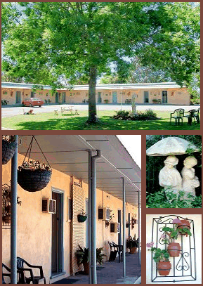 Arch Motel - Hervey Bay Accommodation 2