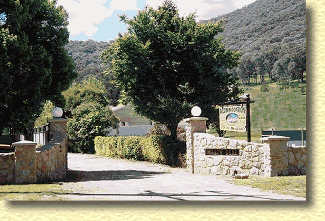 Willow Dene - Hervey Bay Accommodation 1