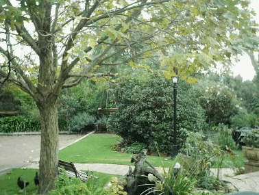 The Noble Grape - Hervey Bay Accommodation 1