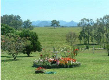 Tallowood Ridge Farmstay B - Hervey Bay Accommodation 3