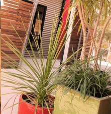 Adelphi Apartments - Hervey Bay Accommodation 1