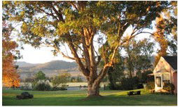 Belltrees Country House - Hervey Bay Accommodation 2