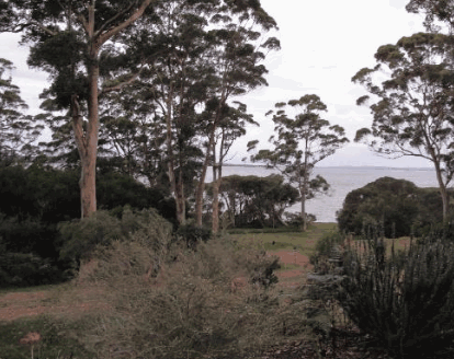 The Denmark Waterfront - Hervey Bay Accommodation 0