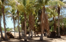 King Sound Resort Hotel - Hervey Bay Accommodation