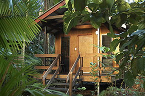Cape Tribulation QLD Hervey Bay Accommodation