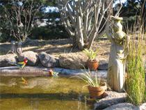 Murray Gardens Motel And Cottages - Hervey Bay Accommodation 2