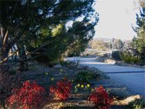 Murray Gardens Motel And Cottages - Hervey Bay Accommodation 3