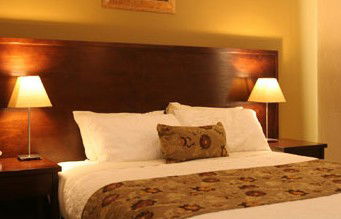 Whale Motor Inn - Hervey Bay Accommodation 1