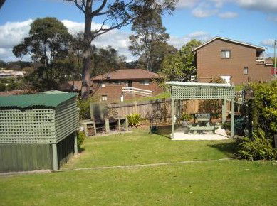 The Tree Motel - Hervey Bay Accommodation 0