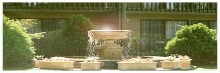 Best Western Tall Trees Motel - Hervey Bay Accommodation 2