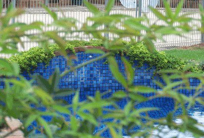 Arcadia Motor Inn - Tourism Hervey Bay 4