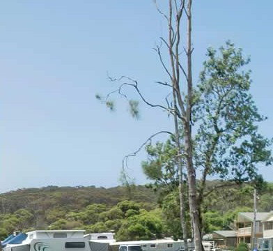 Merry Beach Caravan Park - Hervey Bay Accommodation 2
