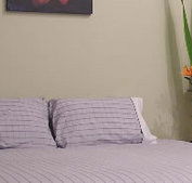 Stingo Hotel - Tourism Hervey Bay