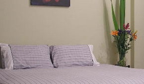 Stingo Hotel - Hervey Bay Accommodation 0