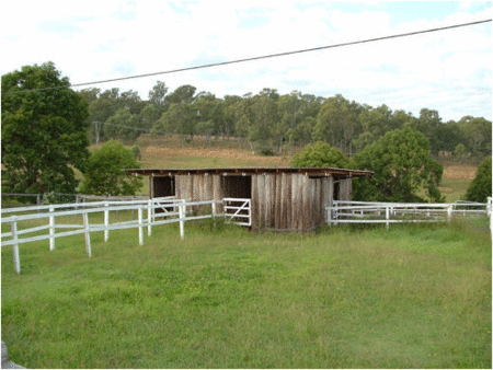 Jacaranda Motor Lodge - Hervey Bay Accommodation 1