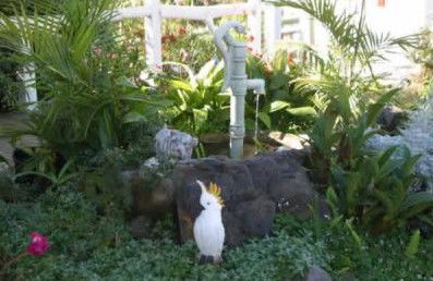 Kingfisher Motel - Hervey Bay Accommodation 3